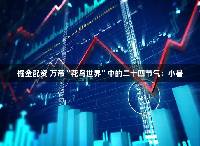 掘金配资 万芾“花鸟世界”中的二十四节气：小暑